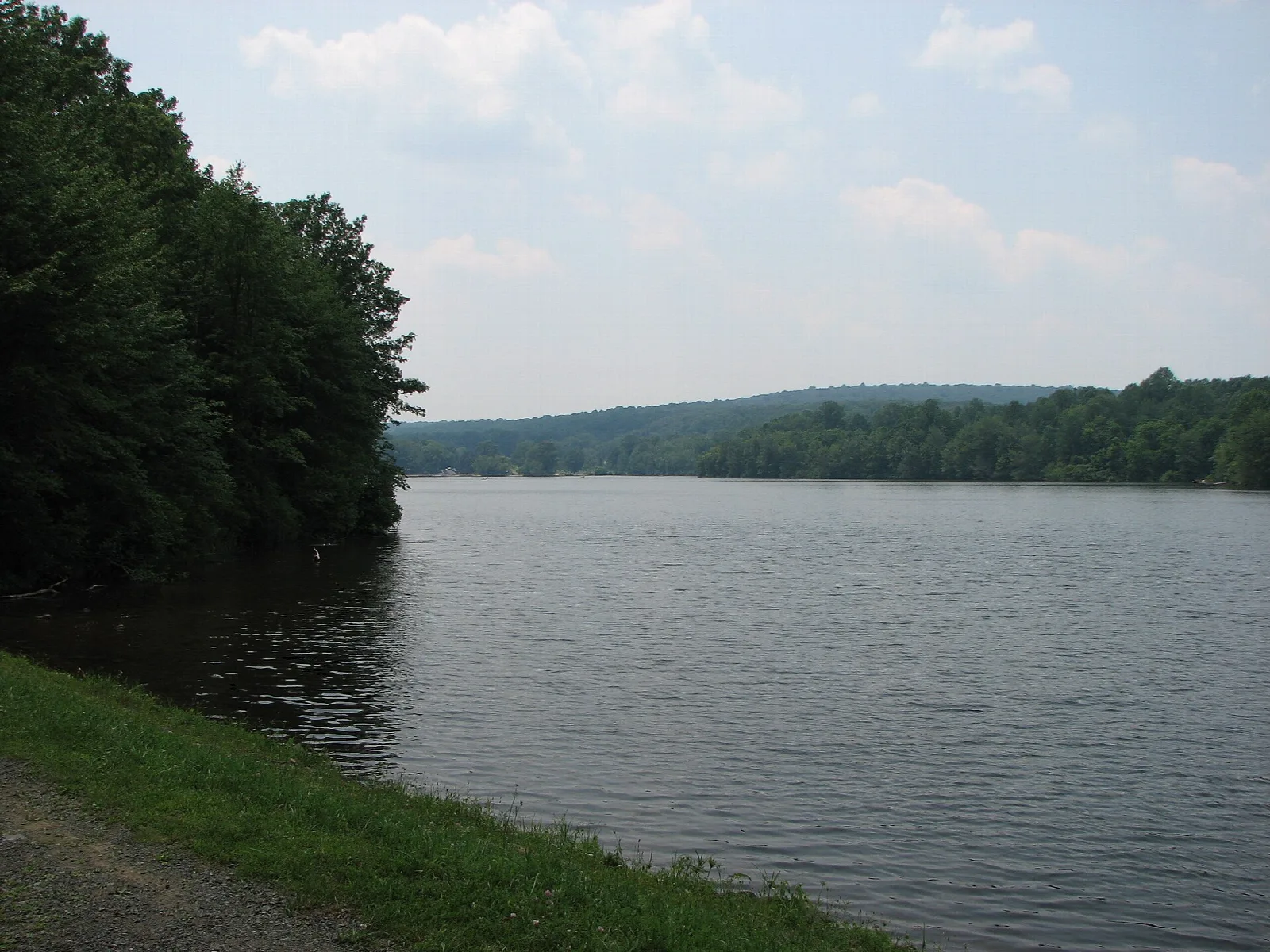 Wide lake with a wooded shoreline and a grassy bank