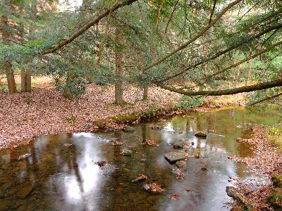 Clear Creek State Park