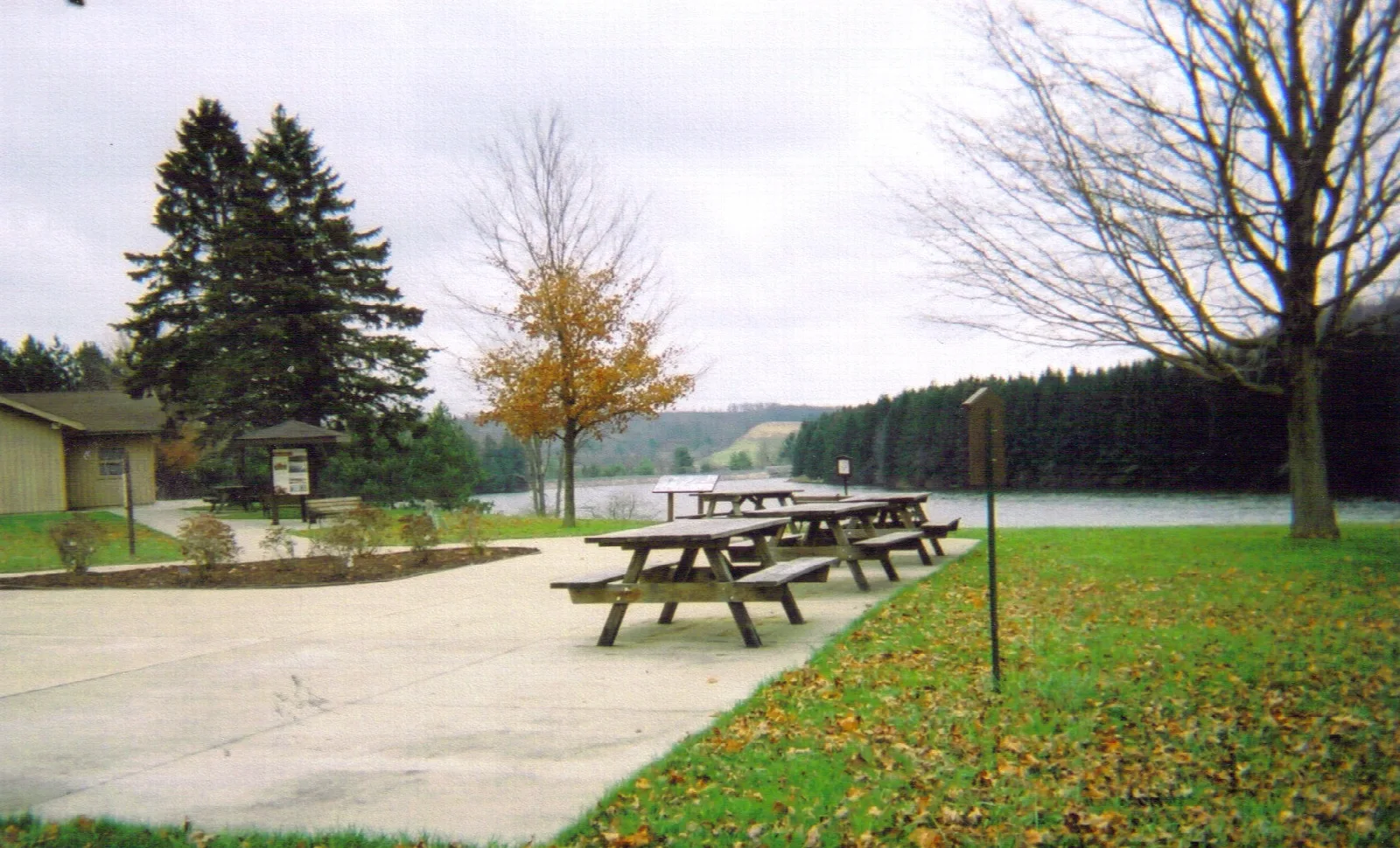 Picnic tables on a paved pad beside the lake