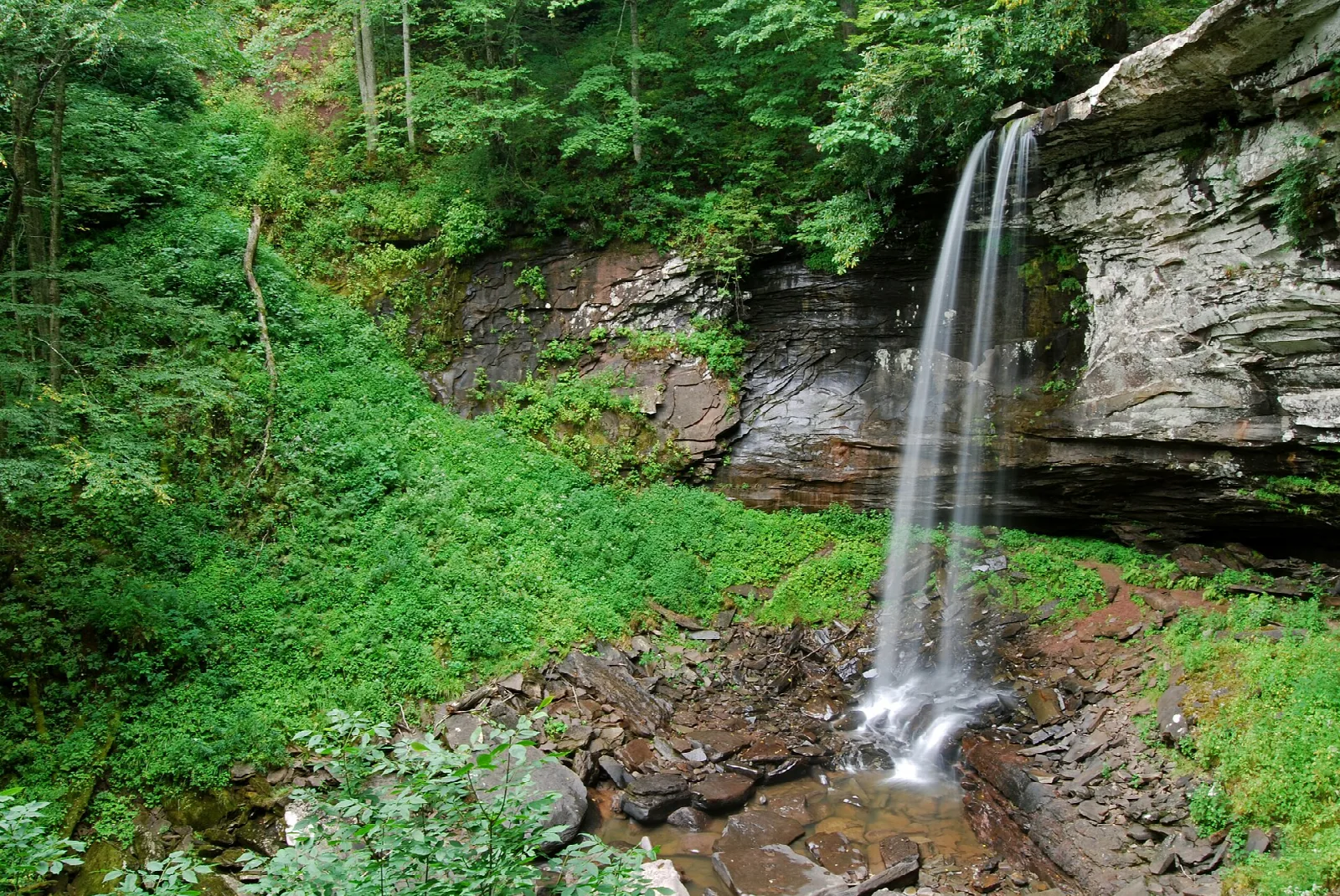 Thin waterfall dropping down a rock face into green ferns