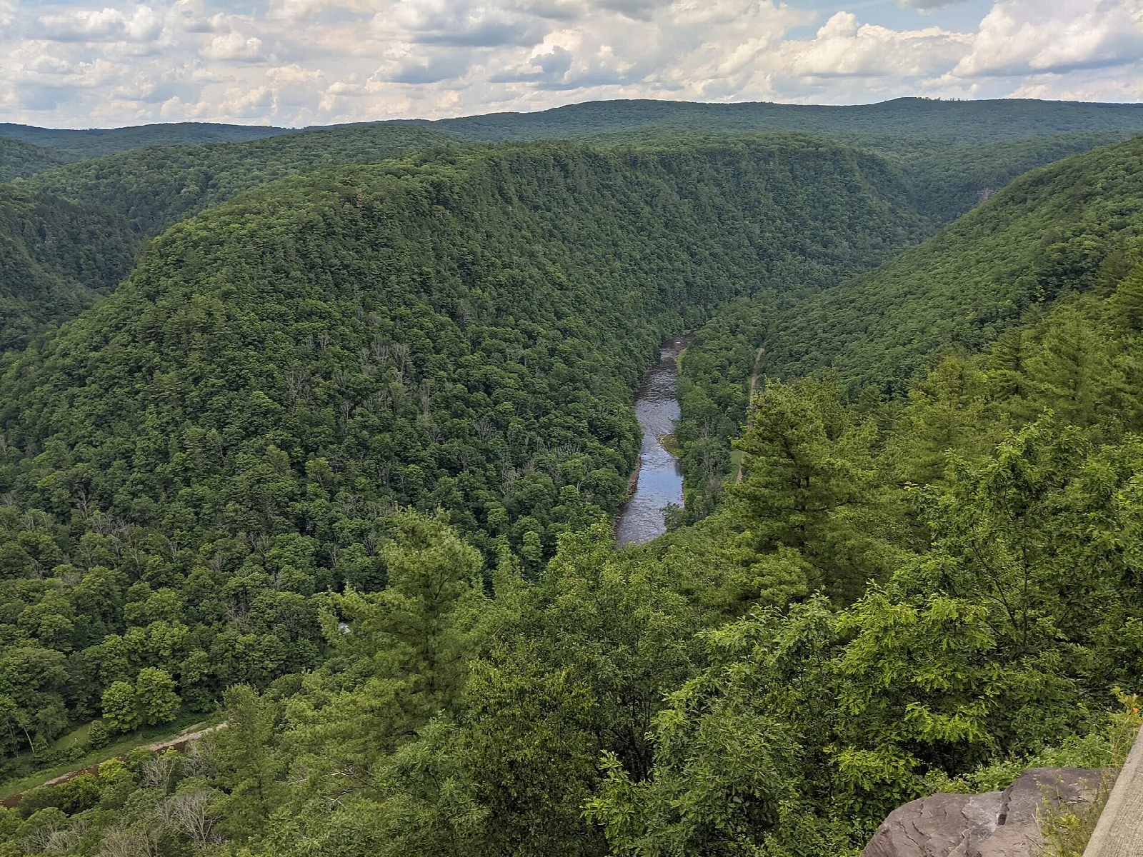 Wooded gorge with a river winding at the bottom under a cloudy sky