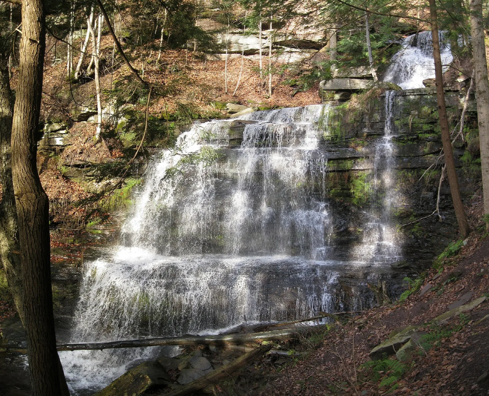 Stepped waterfall flowing over rocks in a wooded ravine