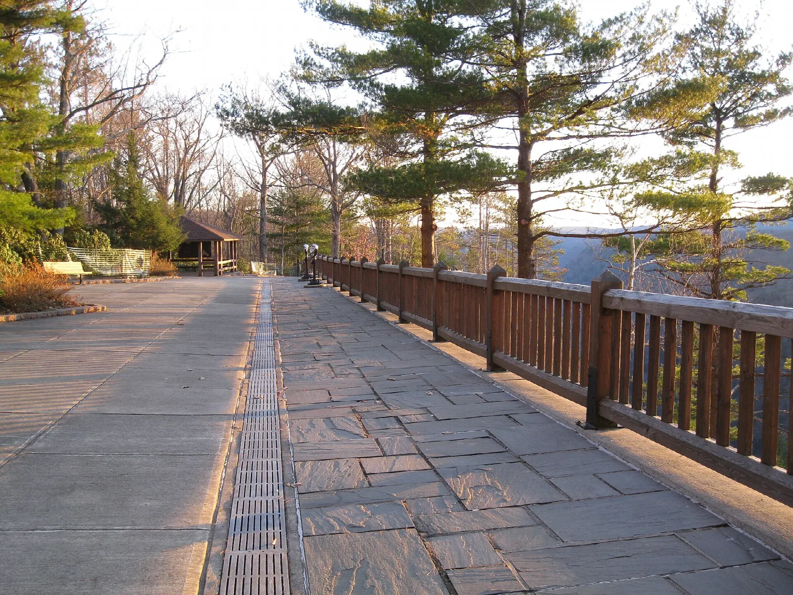 Flagstone overlook terrace with a wooden railing among pines