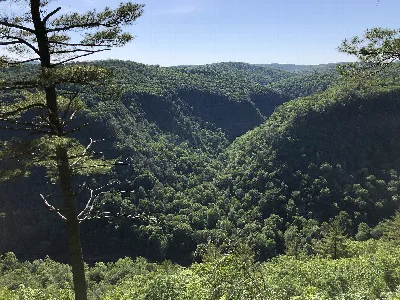 Leonard Harrison State Park