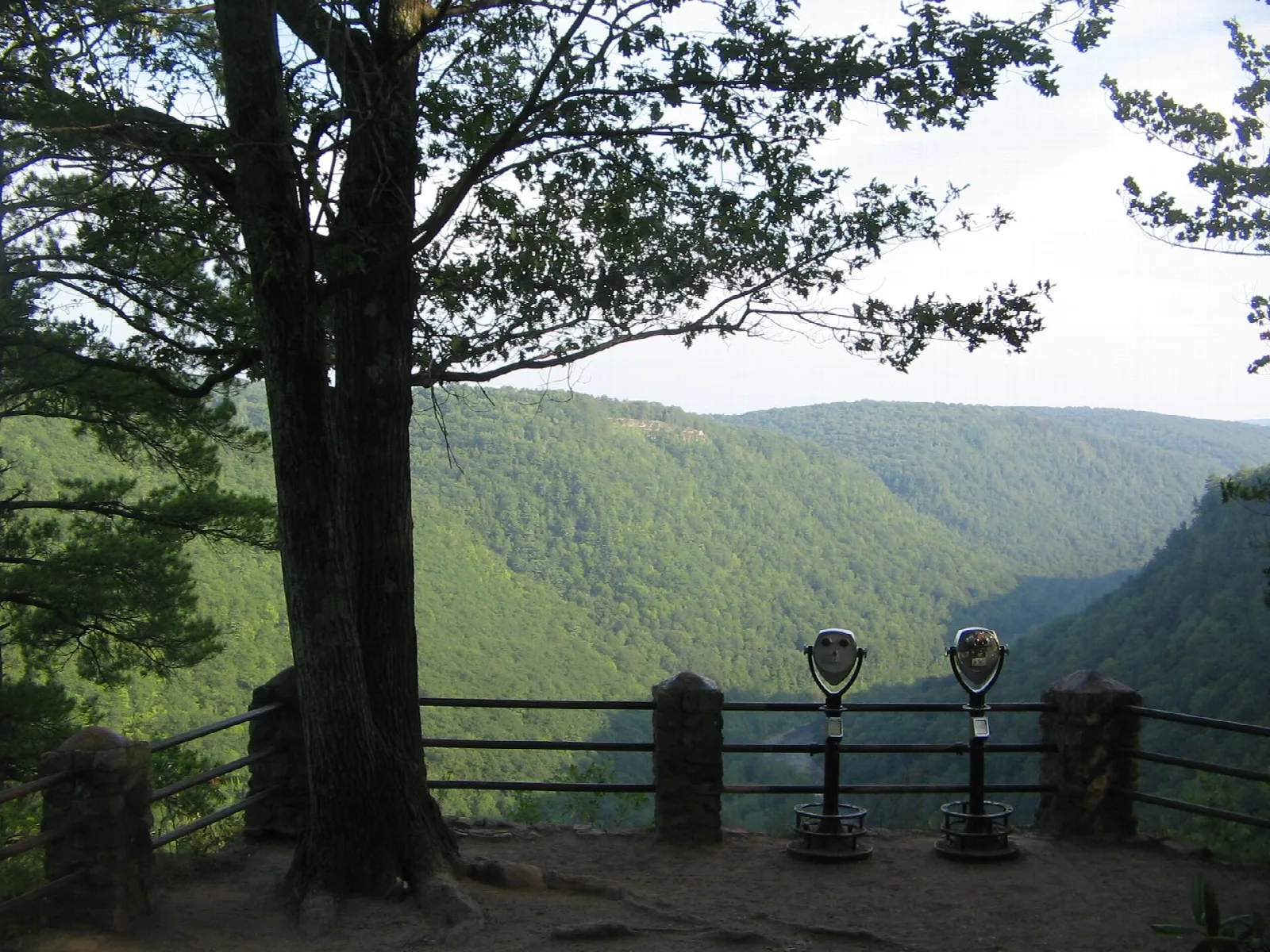 Stone-walled overlook with two coin-operated viewers beneath a tree