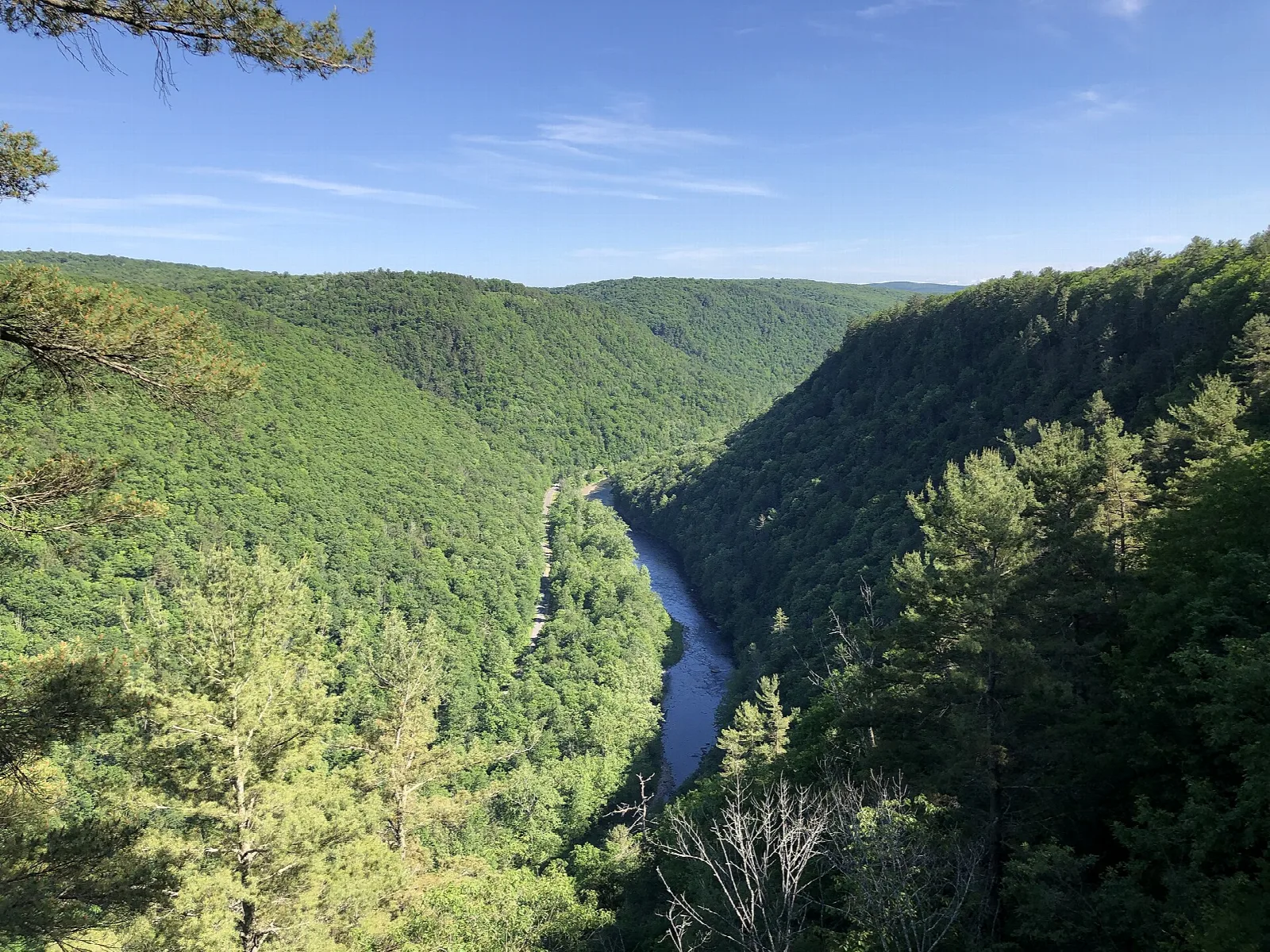 Deep green gorge with a river bend seen from an overlook