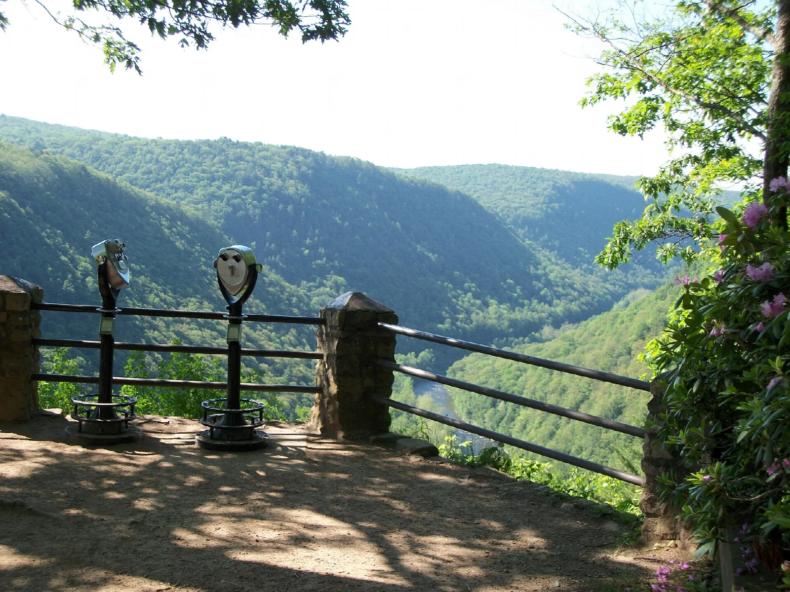 Wooded gorge viewed past a stone overlook wall and flowering shrub