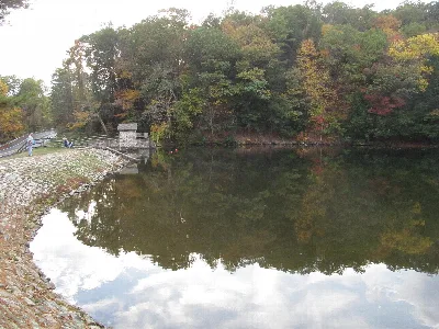 Greenwood Furnace State Park
