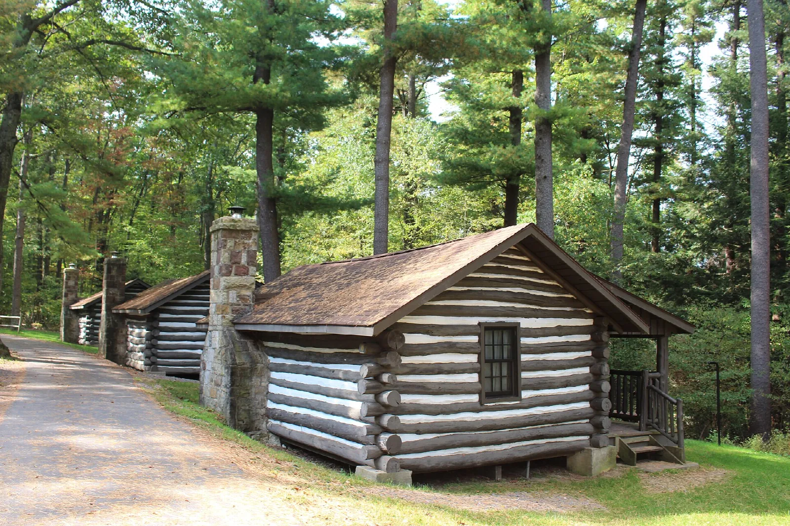 Log cabins along a gravel lane among tall pines