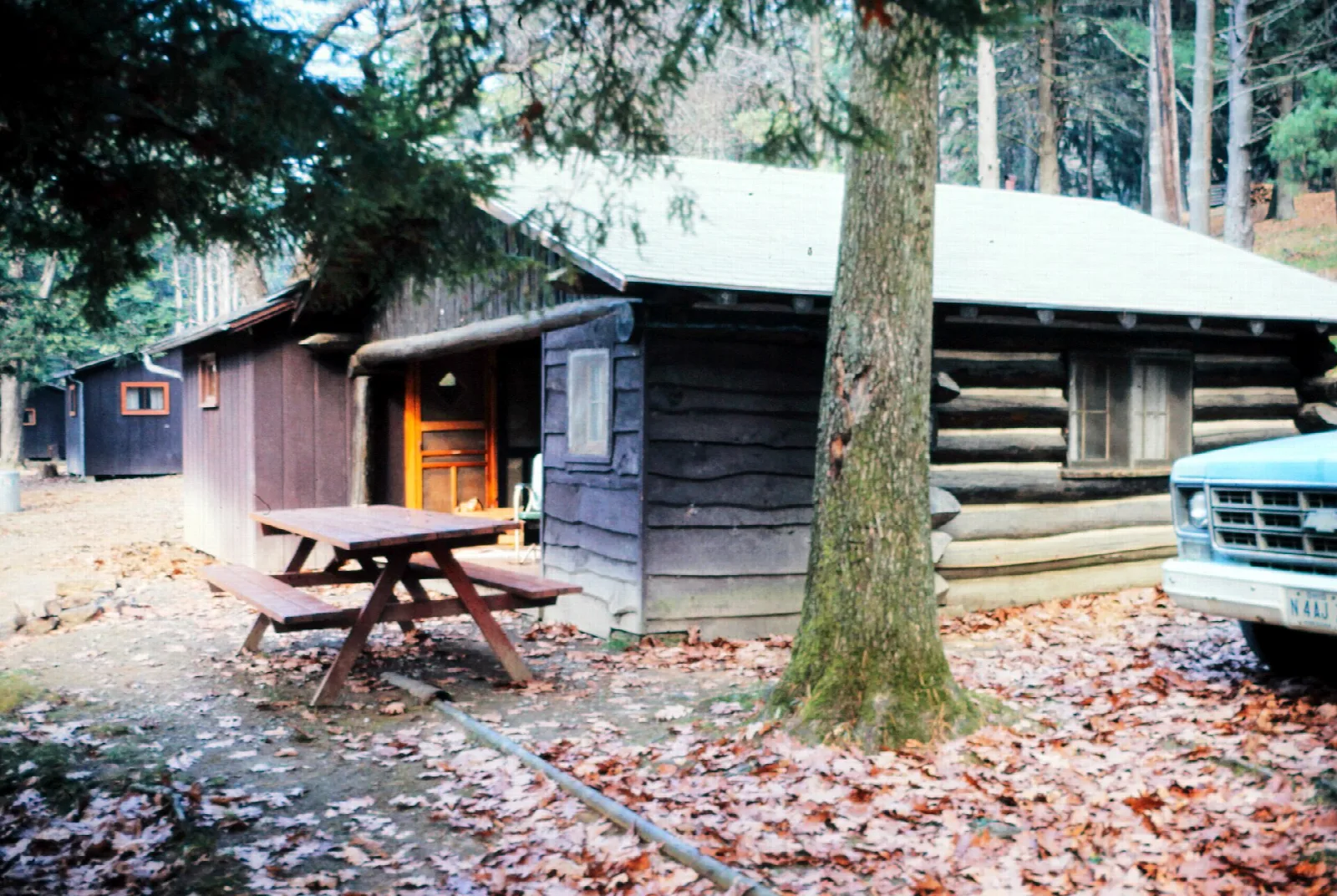 Log cabin with a picnic table and fallen leaves around it