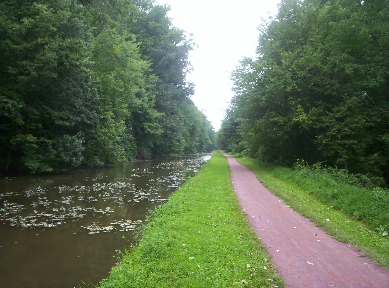Canal lined with trees beside a straight towpath