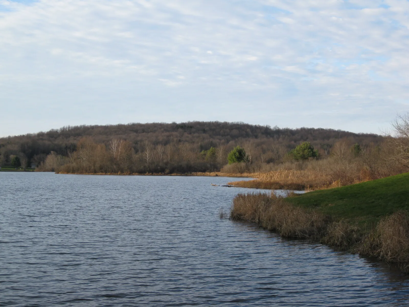 Lake with a wooded hill beyond and reeds at the edge