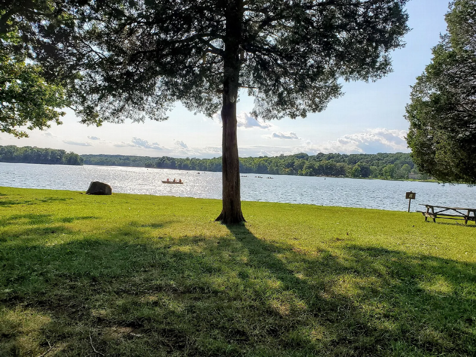 Grassy lawn under a large tree beside a lake with a picnic table