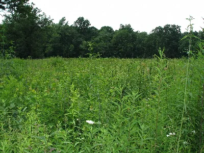 Jennings Environmental Education Center