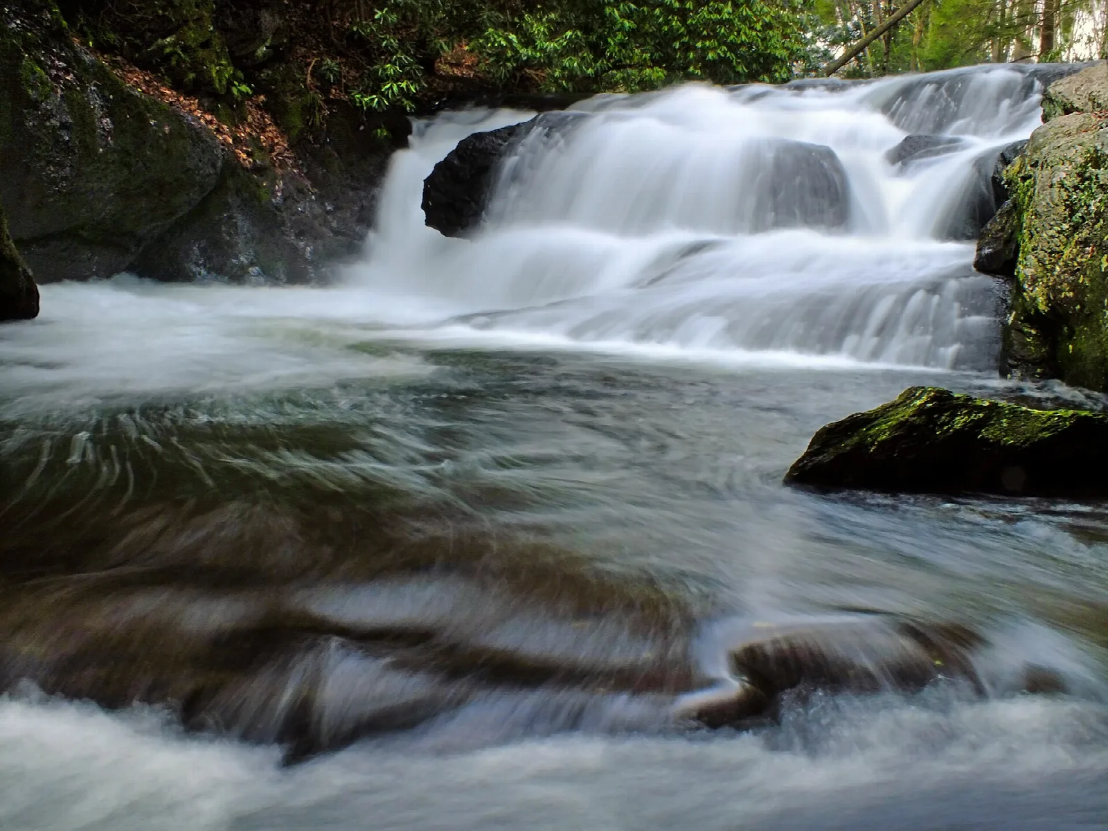 Creek tumbling over mossy rocks in a small waterfall