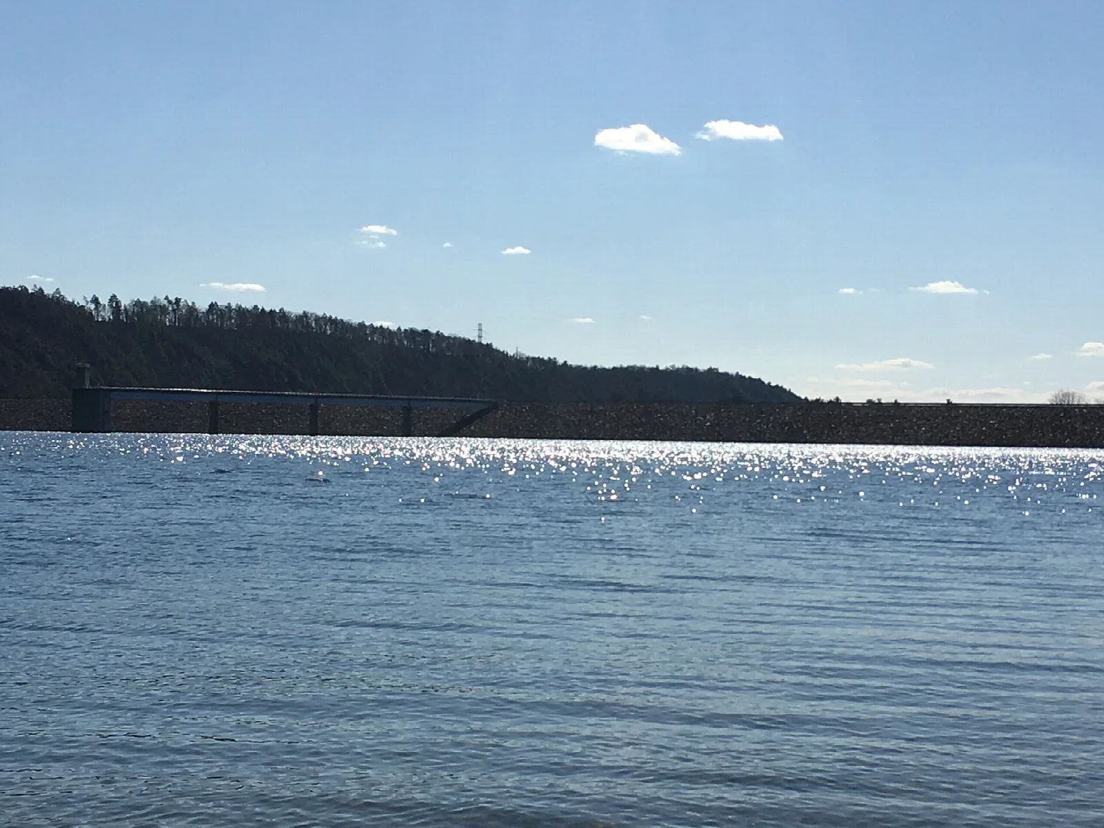 Sunlit lake surface with a wooded far shore under a blue sky