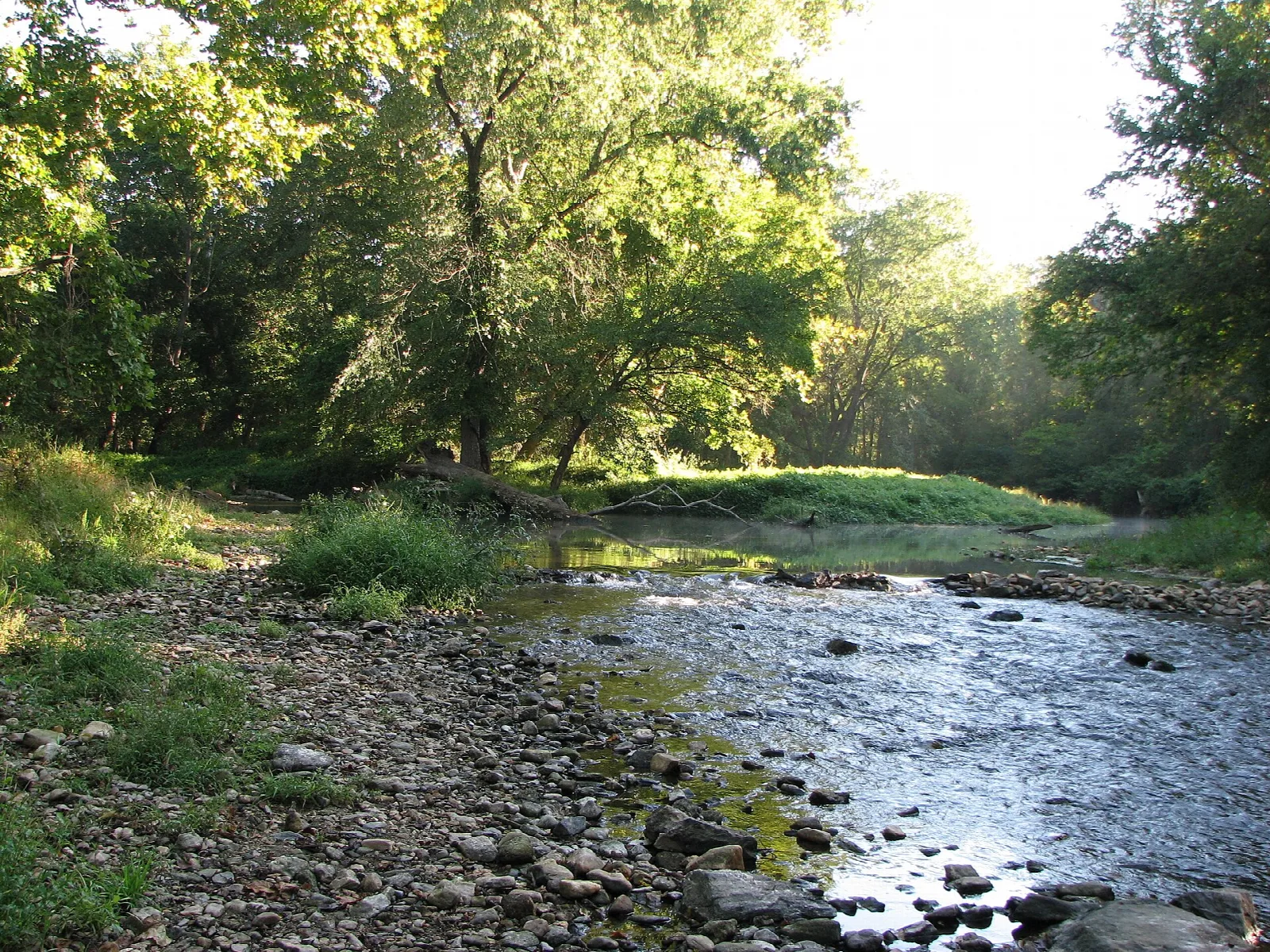 Shallow rocky creek bending through green trees and grass