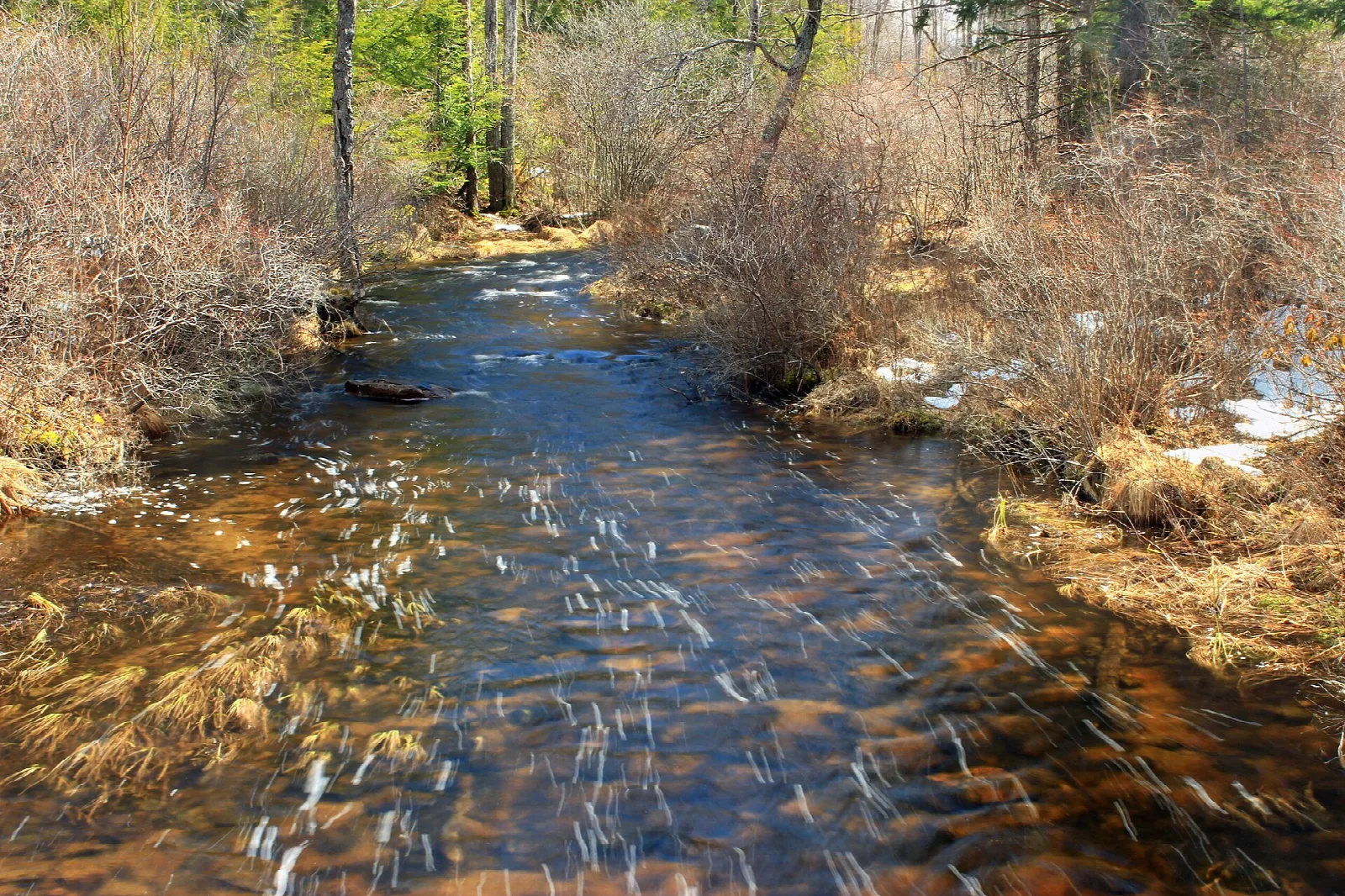 Clear stream flowing past dry grass and bare shrubs
