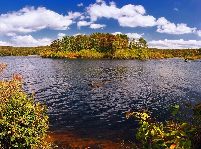 Gouldsboro State Park