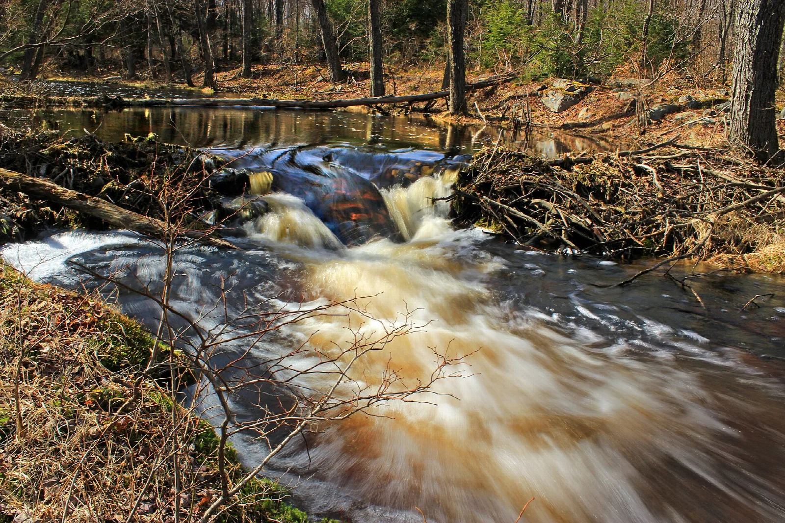 Brown creek water pouring over a small drop beside a bank of fallen branches