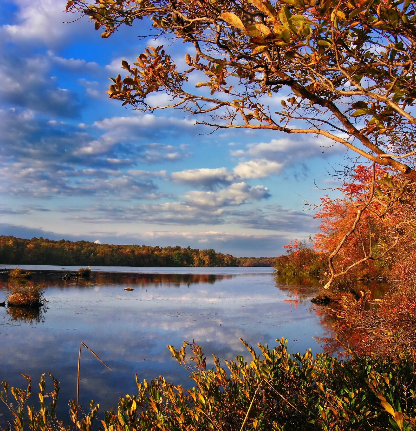 Calm lake with a far shoreline and red-orange fall leaves in the foreground