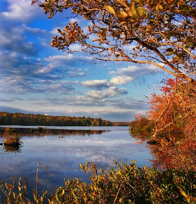Tobyhanna State Park