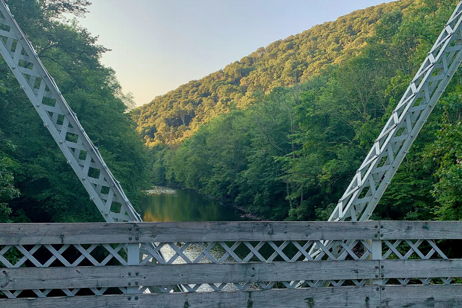 Wooded green ridge and creek seen between bridge trusses