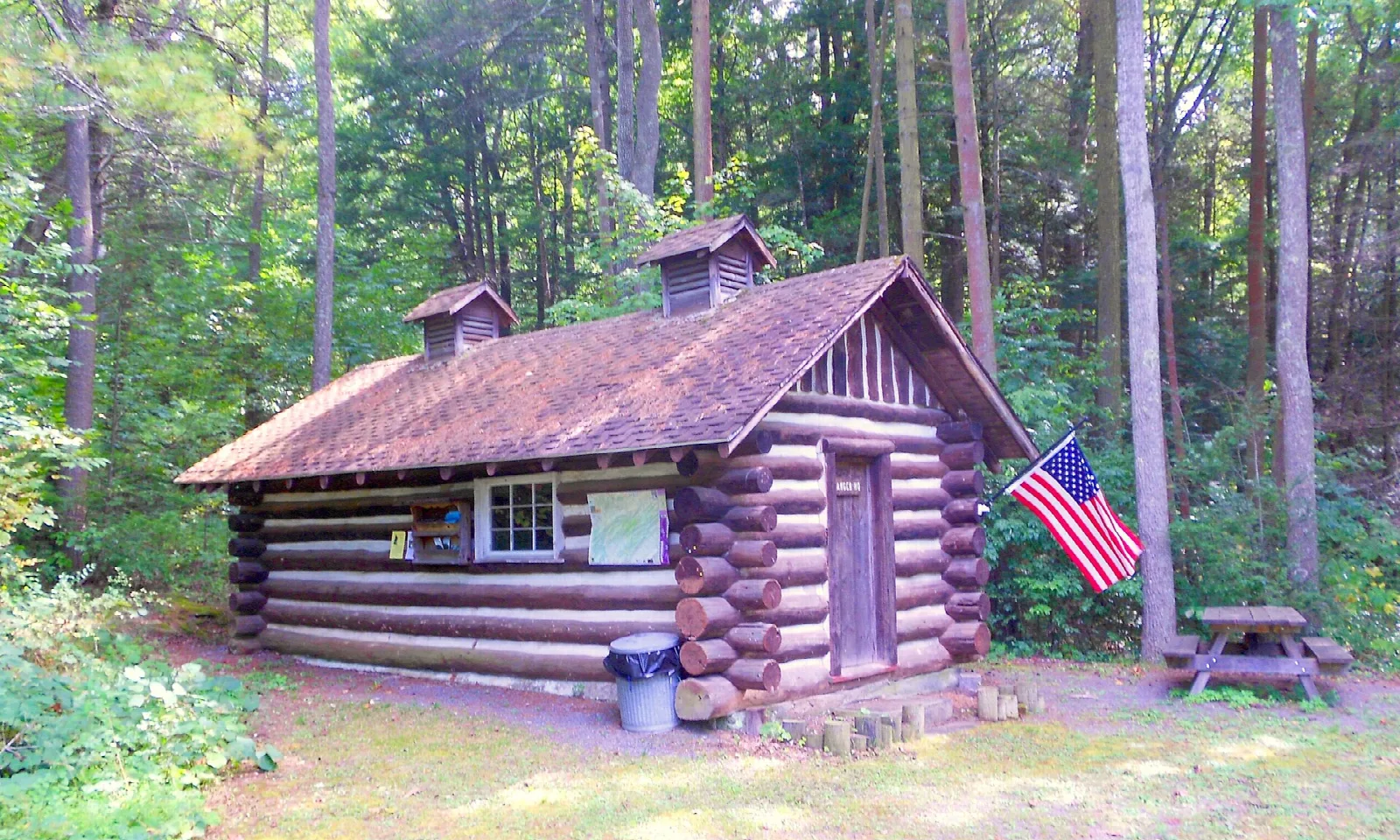 Small log cabin with a flag among trees