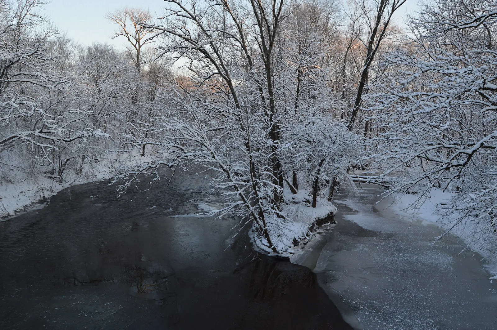 Dark creek running through snow-covered trees