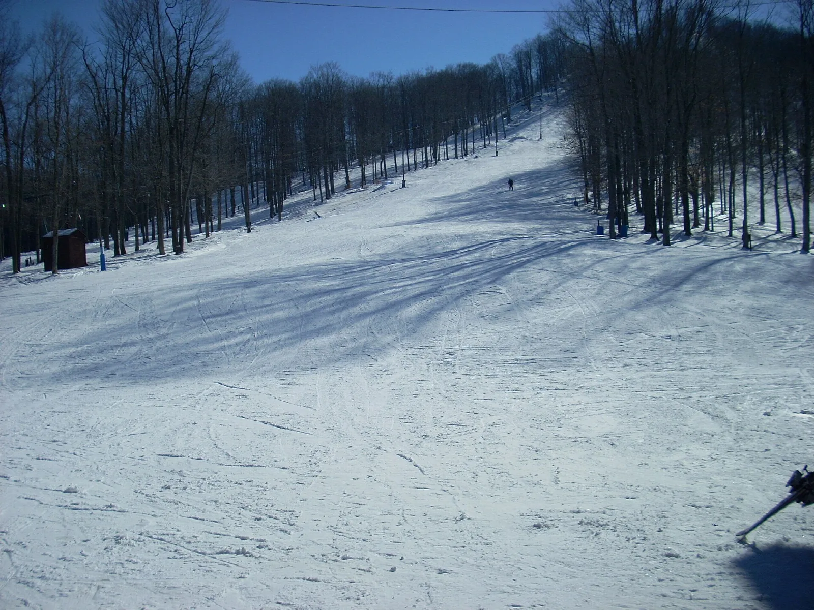 Snow-covered ski slope lined with bare trees under a blue sky