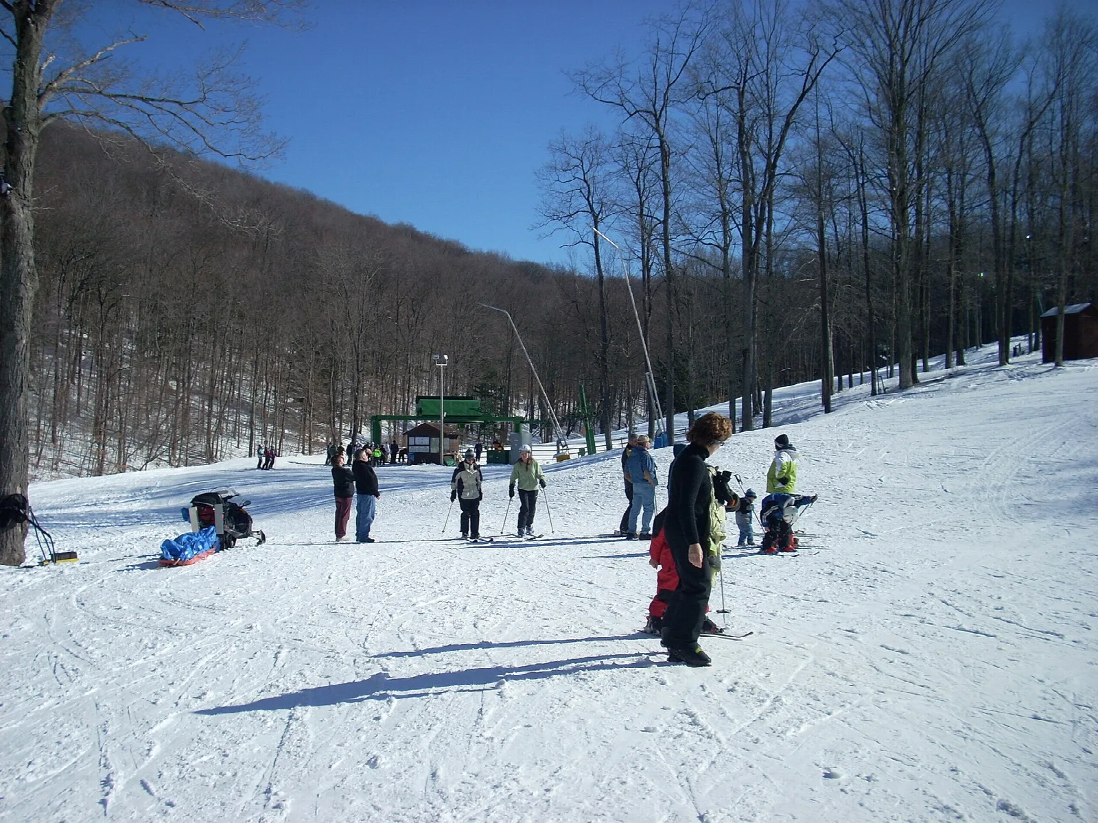 Skiers and sledders on a snowy slope with bare woods behind