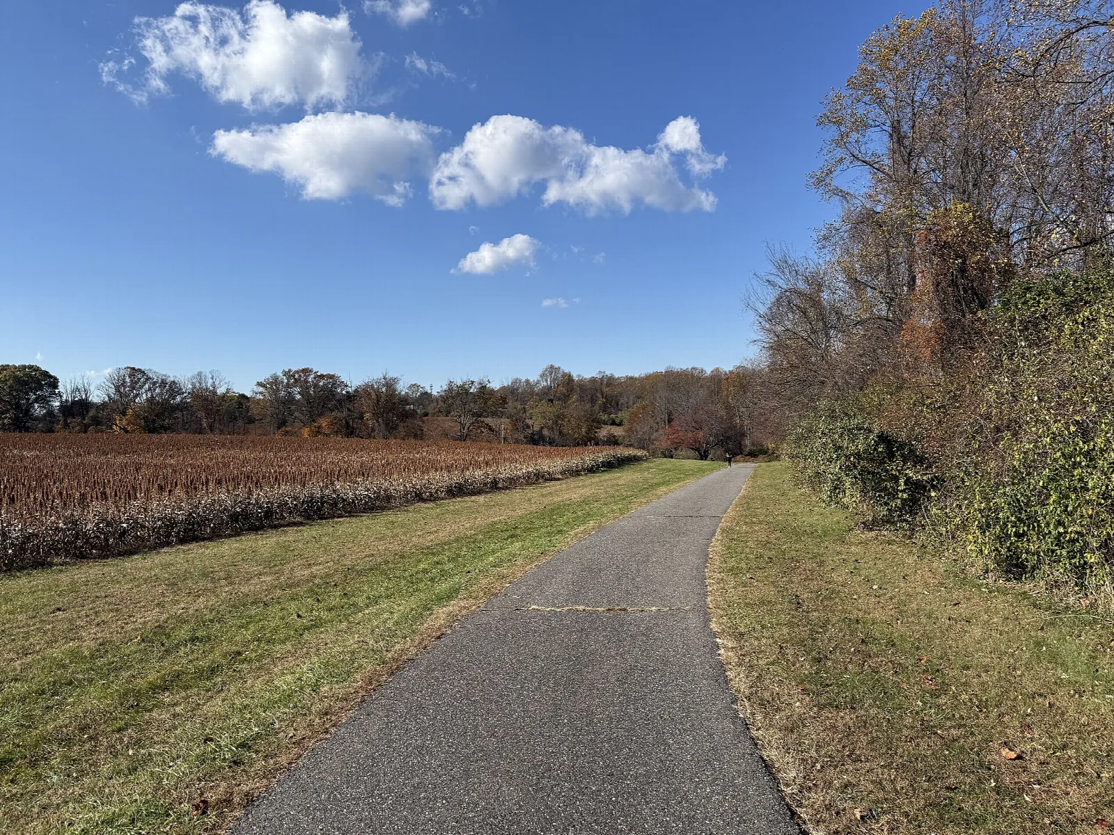 Paved trail beside a plowed farm field and woods under blue sky