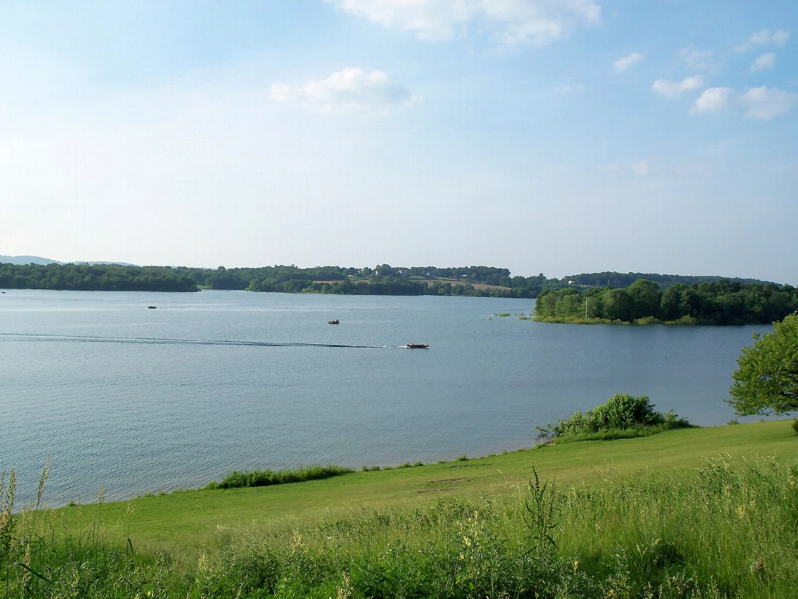 Wide blue lake with wooded shore and a grassy bank