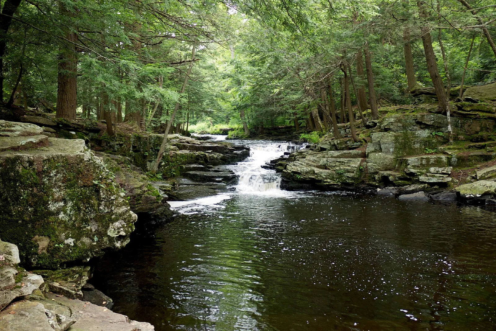 Small waterfall flowing into a dark pool among mossy rocks and hemlocks