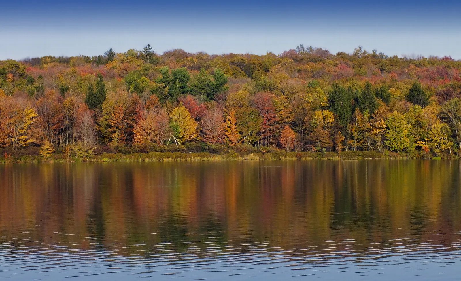 Fall-colored forest reflected on the surface of a lake