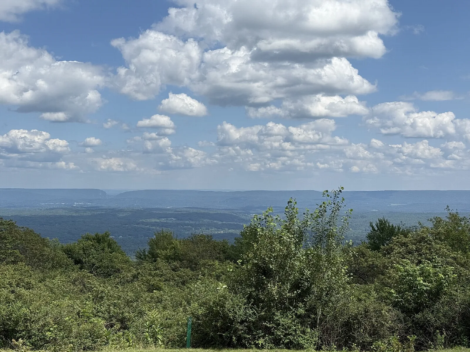 Distant ridges and farmland seen over green shrubs from an overlook
