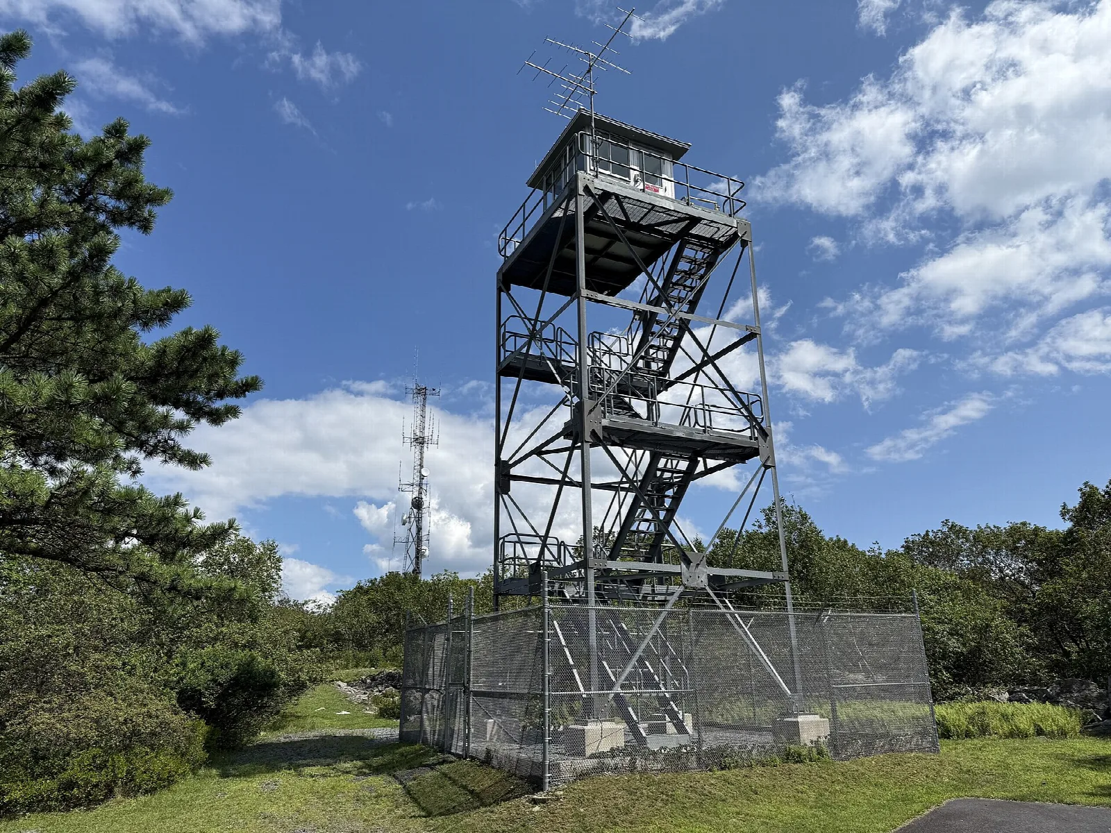 Steel fire tower with a cab on top beside pines and blue sky