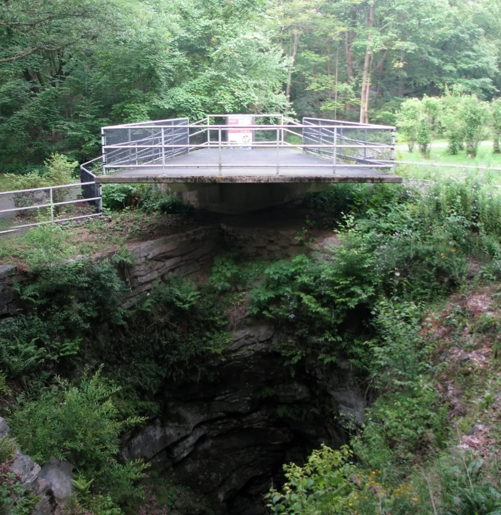 Metal viewing platform above a deep rock-walled pit in a forest