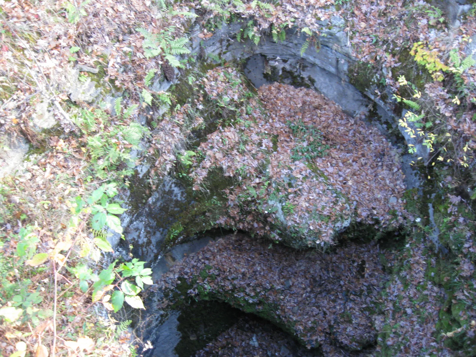 Looking down into a round rock-lined pit covered in leaves