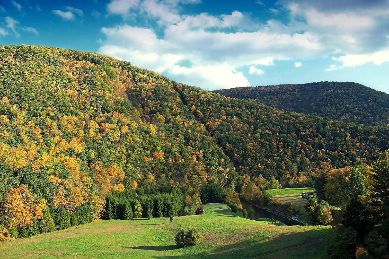 Fall-colored mountain slope above a green meadow under a blue sky