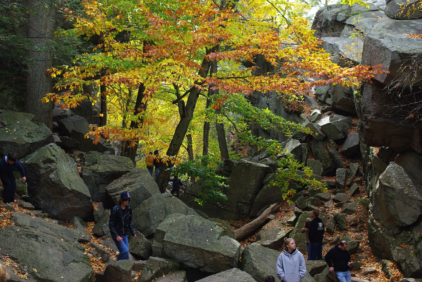 Hikers among large boulders under yellow and orange fall leaves