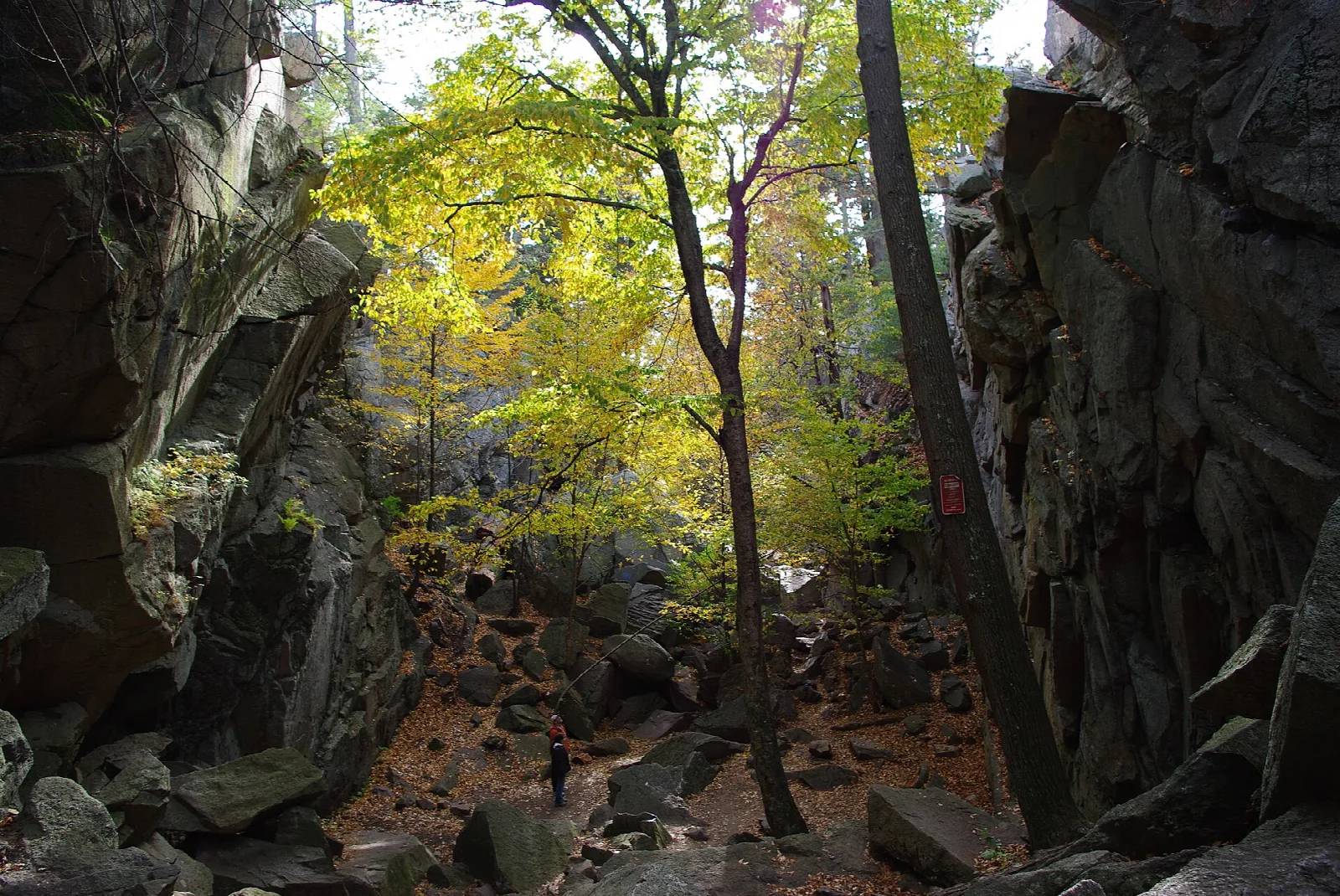Tall dark rock walls on both sides of a leaf-covered path, with fall trees between them