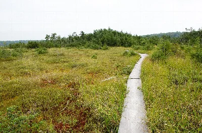 Blue Hills Reservation