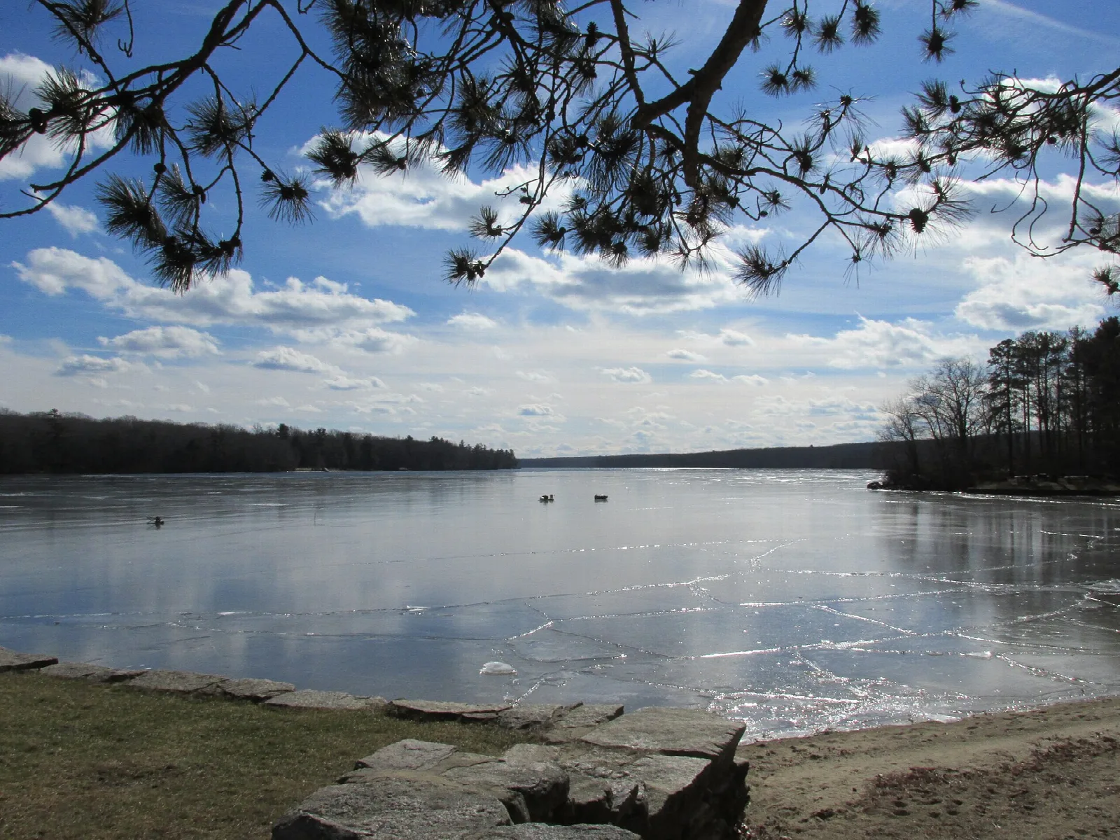 Douglas State Forest