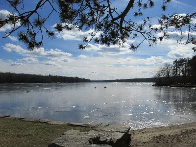 Douglas State Forest