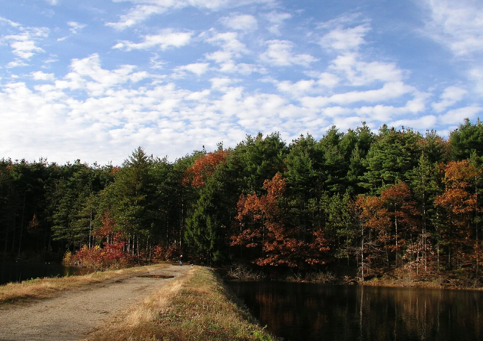 A dirt path beside dark water, with pines and red-leaved trees under a blue sky