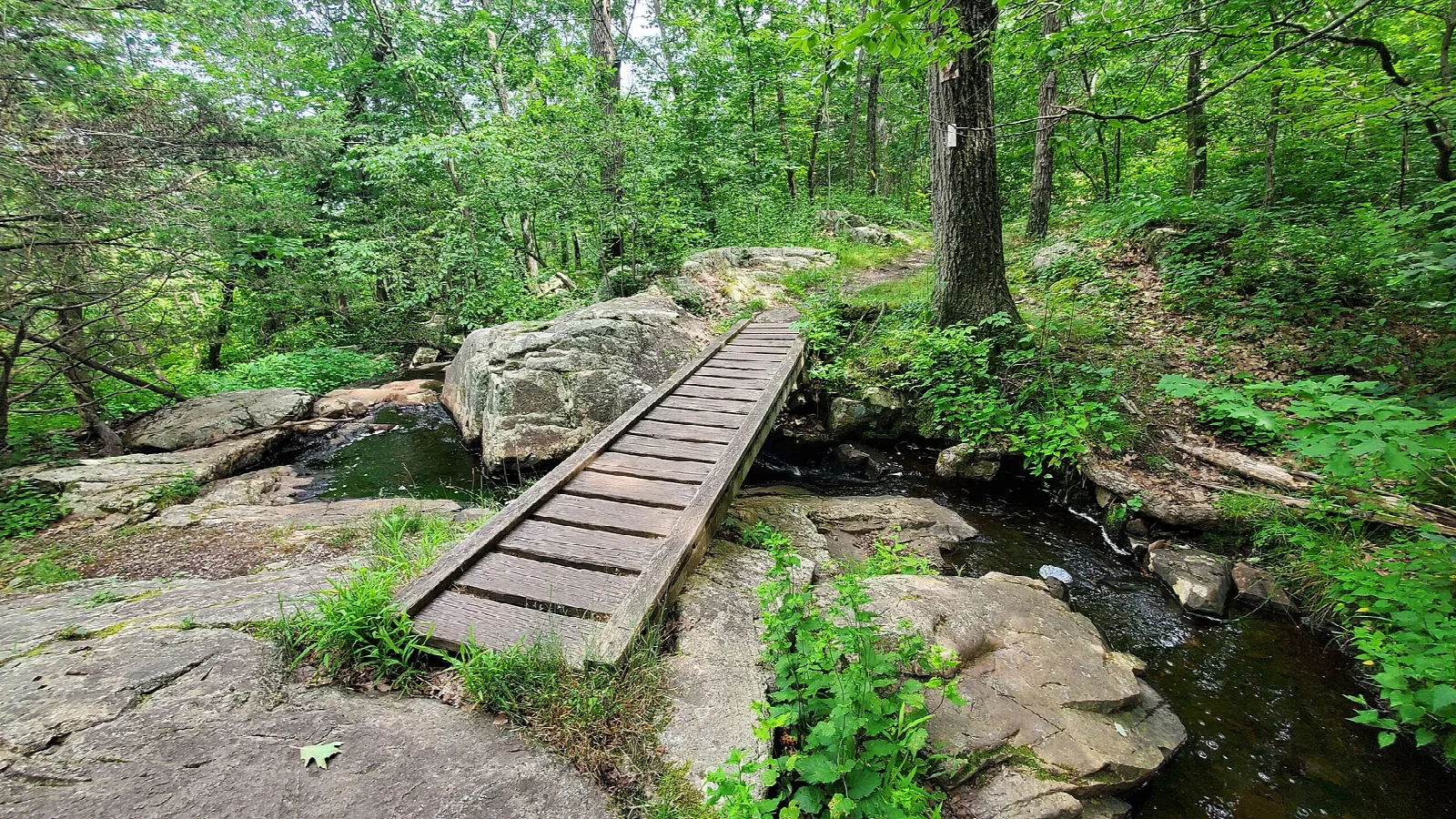 A wooden plank bridge over a small stream between rocks in green woods