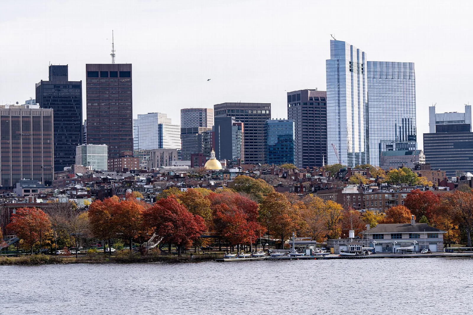 Boston skyline across the river behind autumn trees