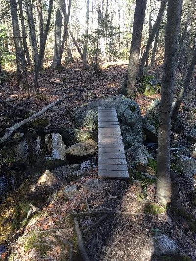 Harold Parker State Forest