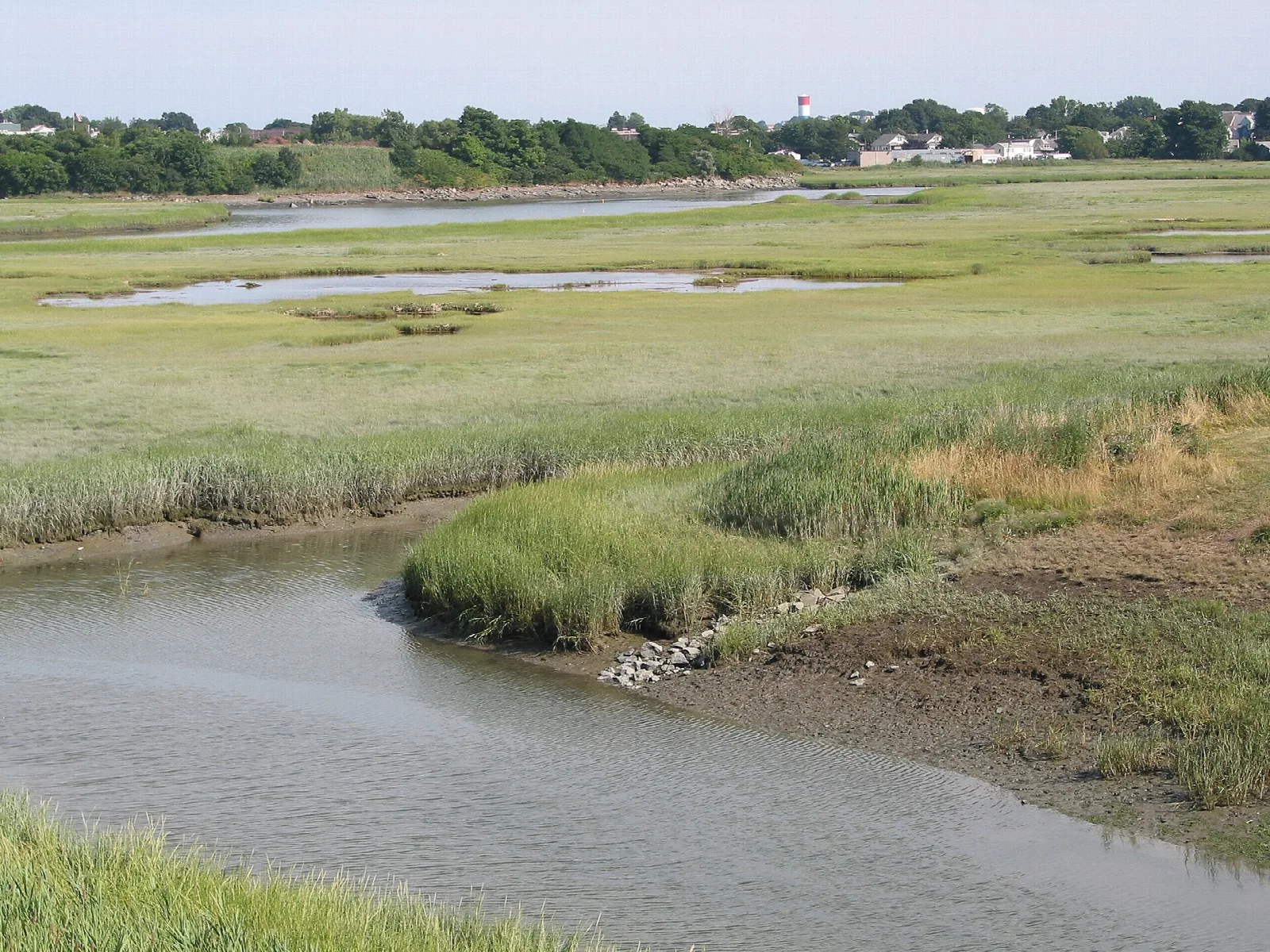 A salt marsh channel winding through green grass